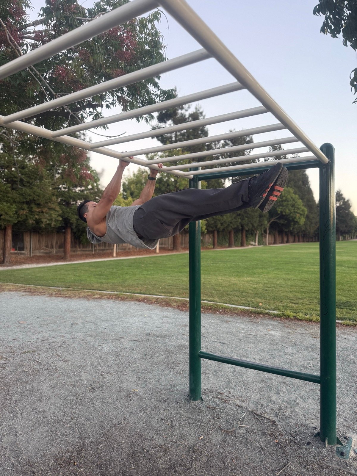 Neo doing a front lever on monkey bars in a San Jose park